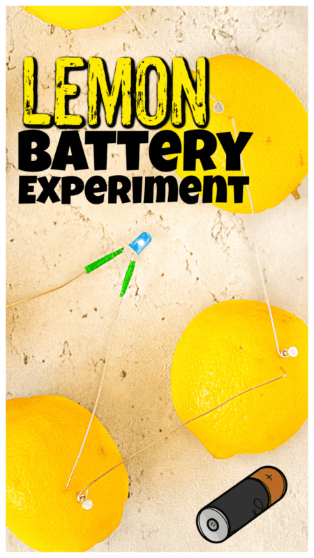 Did you know you can create your own electricity from fruit? Yep! In this amazign lemon battery your children will use a couple simple materials to make a lemon powered light. This lemon battery experiment is perfect for kindergarten, first grade, 2nd grade, 3rd grade, 4th grade, 5th grade, and 6th grade students to explore creating a circuit. Except in this case, we will get our electricity from lemon power! This electricity experiment for kids is sure to amaze and delight kids of all ages!