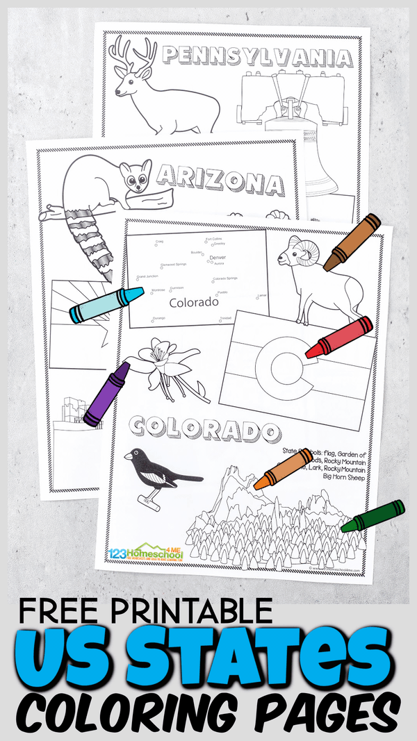 Kids will have fun learning about the United States for Kids with these super cute state coloring pages. Each of the free printable, 50 states coloring pages includes a state map, state flags, state flower, state bird, state landmark, and more. Use the united states coloring page with preschool, pre-k, kindergarten, first grade, 2nd grade, 3rd grade, and 4th graders. These Simply print 50 states coloring pages pdf and you are ready to play and learn about the usa for kids!