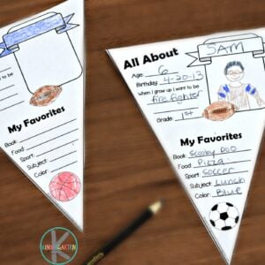 All About Me Pennants