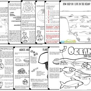 Huge 250 page all about the ocean lesson for kindergarten, grade 1, grade 2, grade 3, grade 4, grade 5, grade 6, grade 7, and grade 8