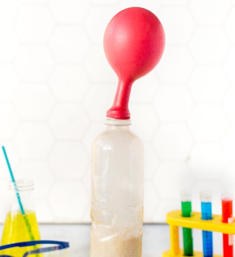 Yeast Balloon Experiment for Kids with FREE Worksheet