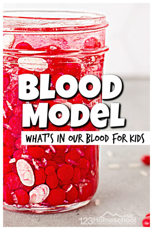 If you are learning about the human body for kids you have probably explores the bones, muscles, and important organs like the heart, brain, and lungs. Now it's time to explore blood for kids! This hands-on activity and EASY blood model is a great visual of what makes up blood while being a silly blood activity for kids at the same time! Your preschool, pre-k, kindergarten, first grade, 2nd grade, 3rd grad, 4th grade, 5th grade, and 6th graders will love this human body activity for kids!