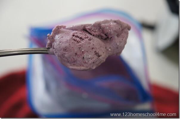 blueberries and cream ice cream in a bag