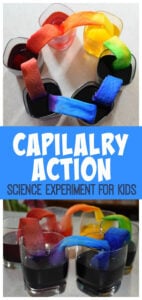 capillary-action-science-experiment-for-kids
