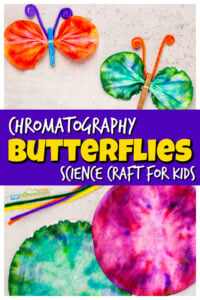 Chromatography Butterflies