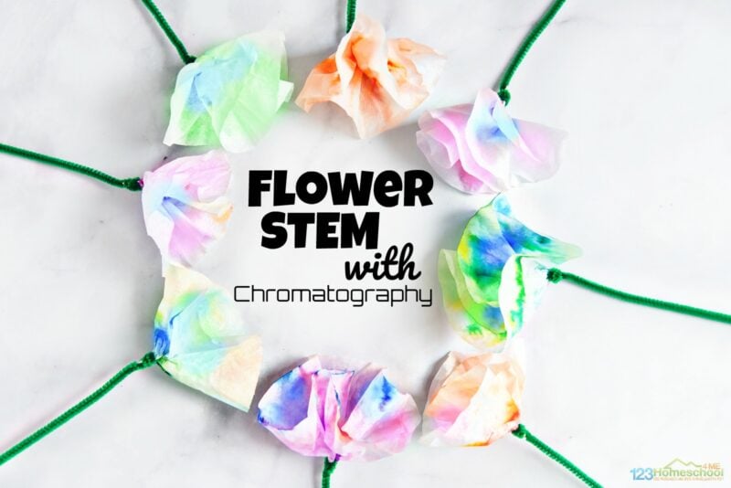 learn what is chromatography with this fun, hands on science project for kids from toddlers, preschoolers, pre k, kindergartners, first grader, and 2nd graders too