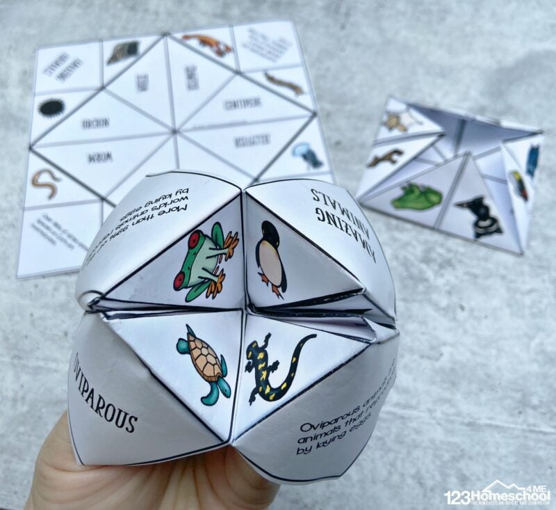 Grab these 10 free printable cootie catcher templates to make learning about science classifications fun with a game!