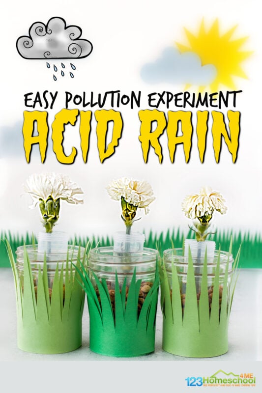 Help kids learn about the impact of pollution and the importance of protecting our earth and environment with this pollution experiment for kids. This simple acid rain experiment is great for preschool, pre-k, kindergarten, first grade, 2nd grade, 3rd grde, 4th grade, 5th grade, and 6th graders. All you need are a few simple supplies ot try this flower experiment where children can see first hand the impace of acid rain on plants.Use this water pollution experiment for kids as part of earth day science or earth science experiment.