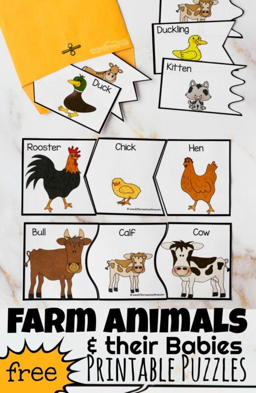 Oink, Moo, Baa.....kids have a natural fascination with farm animals. These super cute, free printable farm animal puzzles are such a fun way for kids to learn science vocabulary about animal baby names and work on visual discrimination and reasoning skills. Grab these Farm Animals and their Babies Printables for toddler, preschool, pre k, kindergarten, and first grade students. These are perfect for a farm theme or Are you my Mother book themed activity for children. 