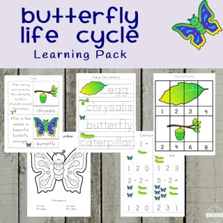 Butterfly Life Cycle Learning Pack