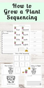 Grow a Plant Sequencing Worksheets
