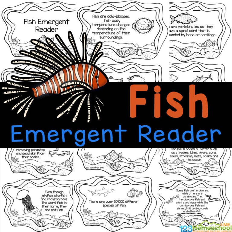 All About Fish Facts for Kids Printable Reader to Color & Learn