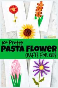 So many super cute flower crafts for kids using various different pasta noodles. These pasta crafts make beautiful and creative flower art for kids. We have so many flower craft ideas for preschool, pre-k, kindergarten, first grade, 2nd grade, 3rd grade and more to make as summer crafts for kids. From bowtie hibiscus to penne sunflowers,  orecchiette pasta gladiolus to rotini asters, stellini hyacinth to castelane tulips - we have so many fun, easy flower crafts.