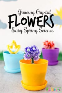 grow your own crystal flower experiment