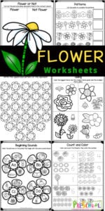 Flower Worksheets for Preschoolers
