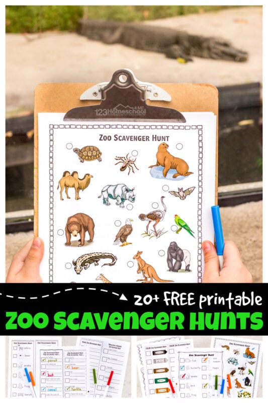 Spring is the time for field trips to the local zoo. In an attempt to make our homeschool field trips extra fun (and educational) I created these super cute, zoo scavenger hunt templates. We have lots of choices with these zoo scavenger hunt printable pack to accomidate kids of all ages from toddler, preschool, pre-k, kindergarten to elementary age students in first grade, 2nd grade, 3rd grade, 4th grade, 5th grade, and 6th grade students. Whether you use the simple animal scavenger hunt or learn about endagered animals or animal habitats in one of these zoo scavenger hunt ideas - kids will have fun learning about zoology in science. Simply download free printable scavenger hunt pdf file and you are ready to learn about animals with this printable scavenger hunt at your local zoo.