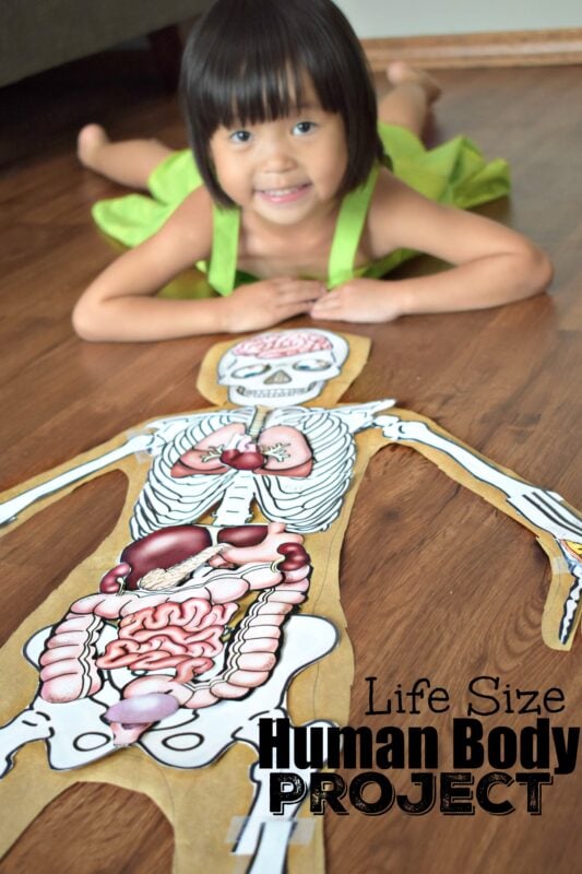this is such a fun kids activity to learn about the human body for kids