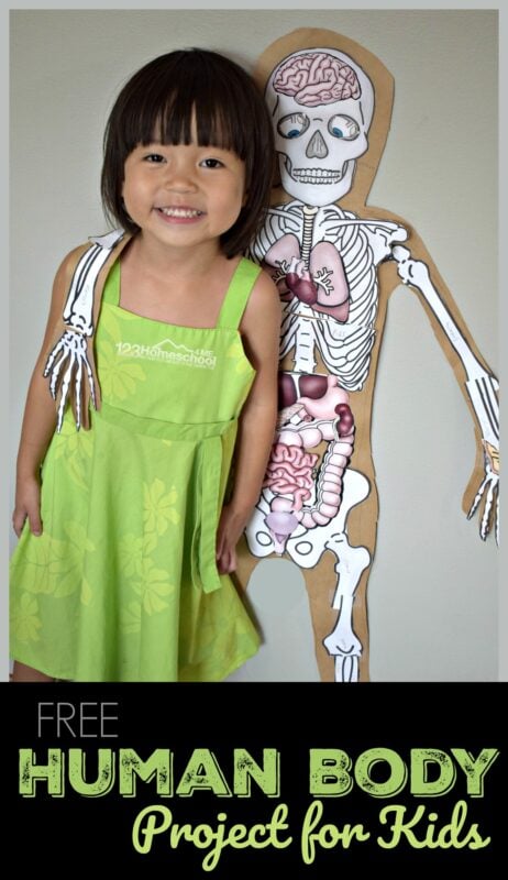 this outrageously FUN human body preschool project using free printables allows kids to learn about what is inside my body