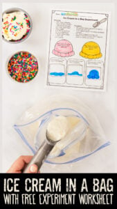 Do you know how to make ice cream in a bag? This delicious summer activity for kids is quick, easy, and FUN! You can whip up a batch of this yummy ice cream in a bag with just 4 ingredients. Not only is this a delicious summer treat, but it is a fun summer activity for preschoolers too! This ice cream in a bag experiment is actually a chance to see a scientific principle - changing states of matter! Simply print our ice cream in a bag science experiment worksheet and you are ready to play and learn with summer science for preschool, pre-k, kindergarten, first grade, 2nd grade, 3rd grade, 4th grade, 5th grade, and 6th graders too.