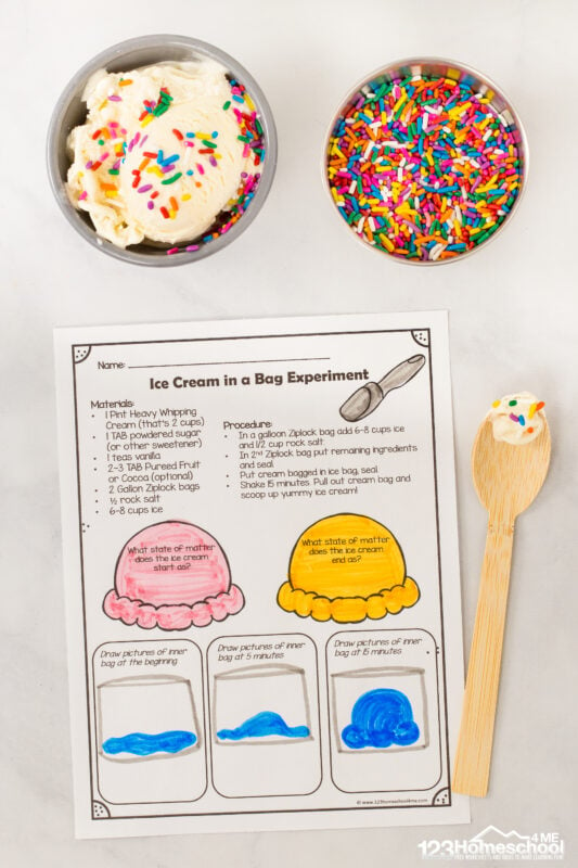 ice cream in a bag science experiment worksheet