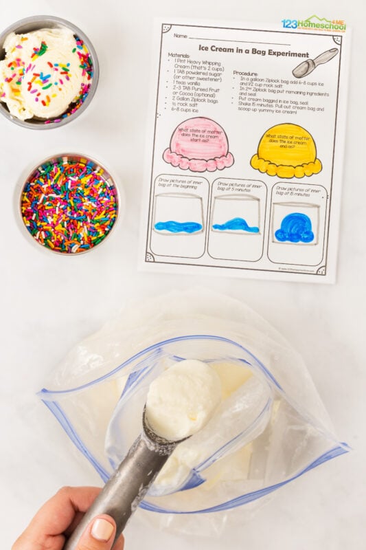 Learn about the science behing ice cream in a bag a summer activity with a free experiment worksheet exploring states of matter!