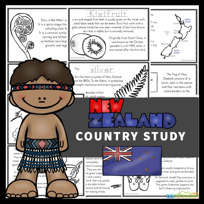 New-Zealand-Country-Study-1