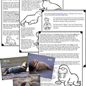 learn all about the carnivorous, aquatic animals that make up the pinniped group including seals, sea lions, and the walrus in this fun printable lesson for elementary age students