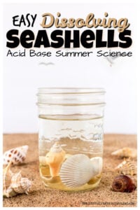 dissolving seashell beach activities for kids
