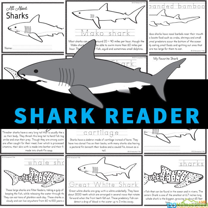 FREE Shark for Kids Printable Reader