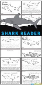 Learn about amazing, feared Sharks for kids with this free shark printables reader.  Children from preschool, pre-k, kindergarten, first grade, 2nd grade, 3rd grade, 4th grade, and 5th grade students will love learning about these large creatures whose skin resembles sandpaper while reading through this reader, learning about a variety of different breeds of sharks. Use this for shark theme, ocean theme, or shark activity to learn more about these amazing ocean animals! Simply print pdf file with sharks worksheets to make into a shark book for kids to read, color, and learn all about sharks!