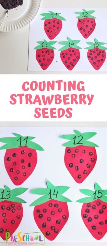 This Counting Strawberry Seeds makes counting fun and exciting with a strawberry activities for preschooler! Easy-to-prep and perfect for both toddler, prsechool, pre-k, and kindergarten age studnets - this preschool strawberry craft can help a child learn and improve many important areas of development, like fine motor skills, hand-eye coordination and concentration. This strawberry preschool idea is such a fun preschool counting activities for summer.