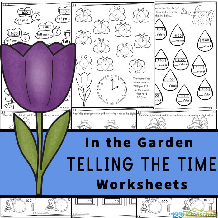 Introduce children in pre-k, preschool, kindergarten, first grade, and 2nd grade to learning to read a clock with these fun Garden themed Telling the Time Worksheets. Concentrating on learning the o'clock and half-past times, these worksheets are a great way to introduce time and reading a clock to your children. Simply download pdf file with clock worksheets and you are ready for fun, free math worksheets with a fun flower theme.
