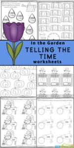 Introduce children in pre-k, preschool, kindergarten, first grade, and 2nd grade to learning to read a clock with these fun Garden themed Telling the Time Worksheets. Concentrating on learning the o'clock and half-past times, these worksheets are a great way to introduce time and reading a clock to your children. Simply download pdf file with clock worksheets and you are ready for fun, free math worksheets with a fun flower theme.