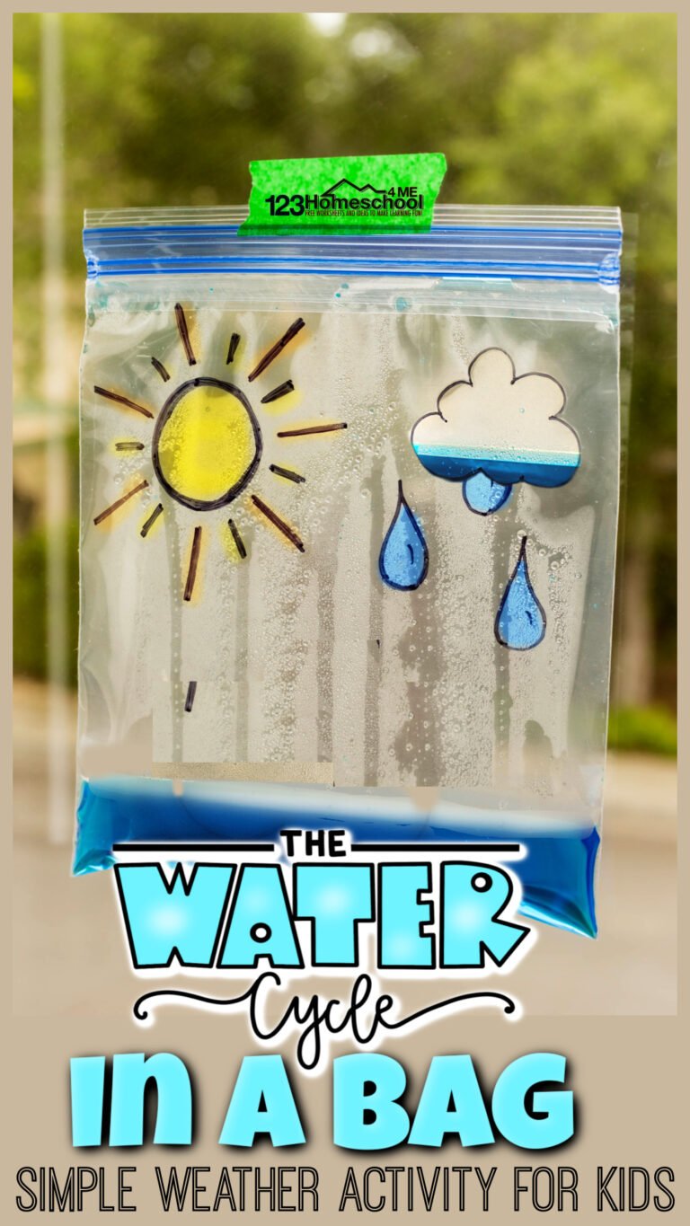 Water Cycle in a Bag Weather Activity for Kids w/ Free Worksheet