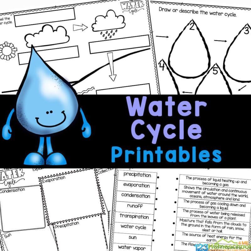Handy, no-prep Water Cycle Worksheets. for elementary age kids. These include printable pages to label, diagram, poster, coloring pages,, and more!