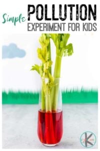 water pollution for kids science experiment with celery
