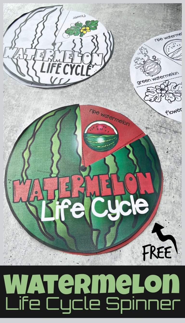 Watermelon Life Cycle Printable Spinner Activity for Kids