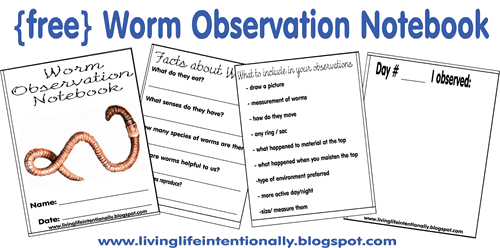FREE-Worm-Observation-Book