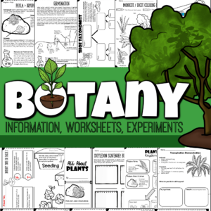 Learn about the amazing plants for kids in our world with this intersting and fun botany lesson for kids! From fascinating facts about plants for kids, plant worksheets, hands-on plant activities, creative plant experiments, and even tests with answer keys to test what your child has learned, you will love this fun printable science lesson for kids! Use this plant lesson with first grade, 2nd grade, 3rd grade, 4th grade, 5th grade, 6th grade, 7th grade, and 8th graders too.